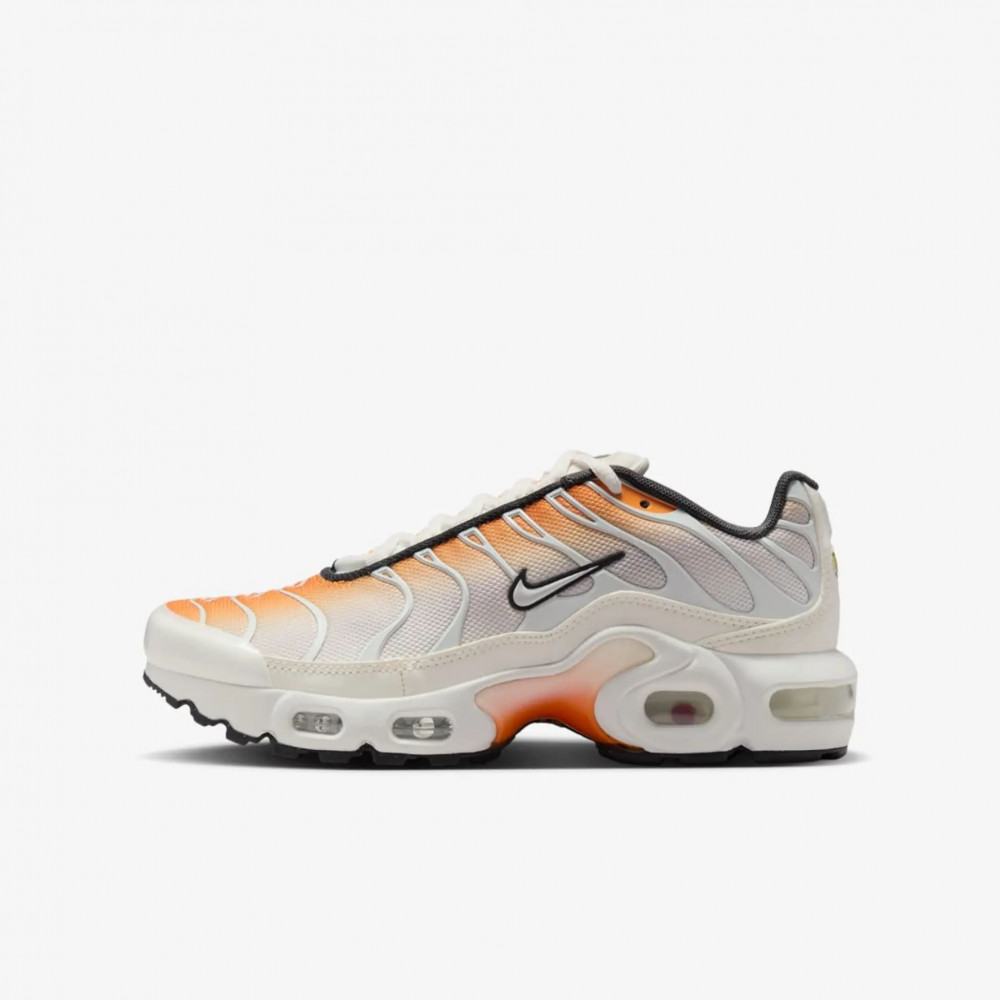 Outlet Кросівки Nike Air Max Plus CD0609-800
