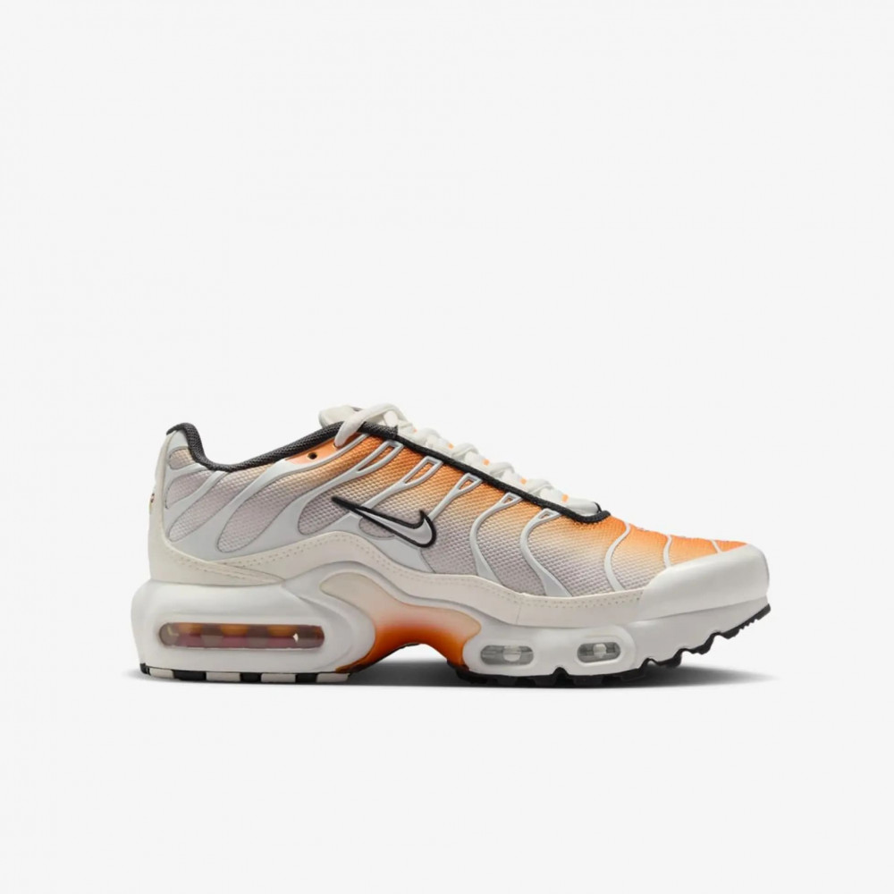 Outlet Кросівки Nike Air Max Plus CD0609-800