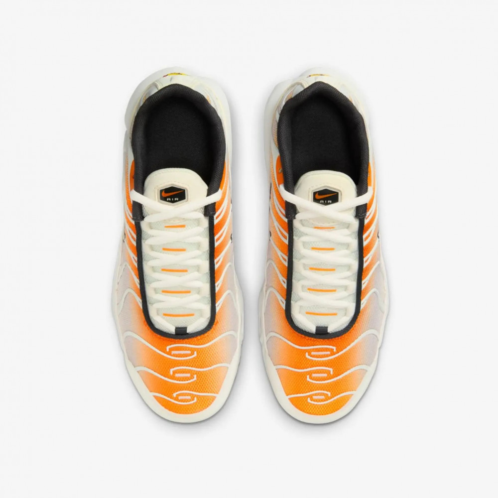 Outlet Кросівки Nike Air Max Plus CD0609-800_image_6