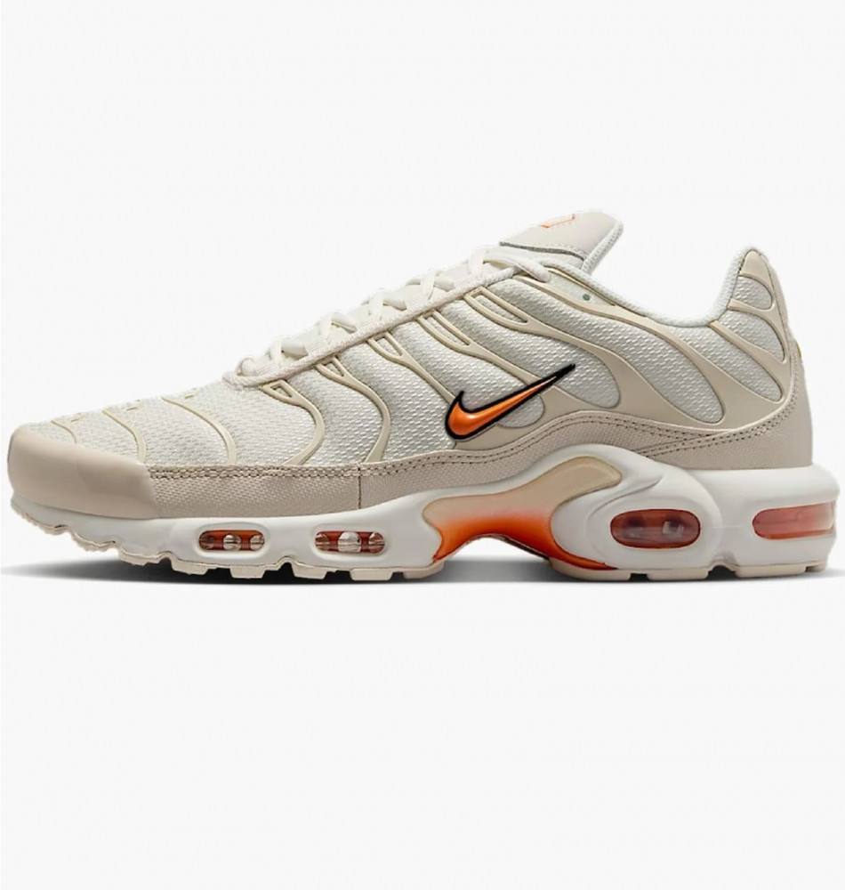 Outlet Кросівки чоловічі Nike Air Max Plus DM0032-019