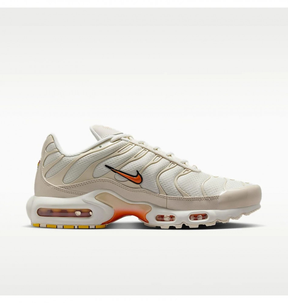 Outlet Кросівки чоловічі Nike Air Max Plus DM0032-019