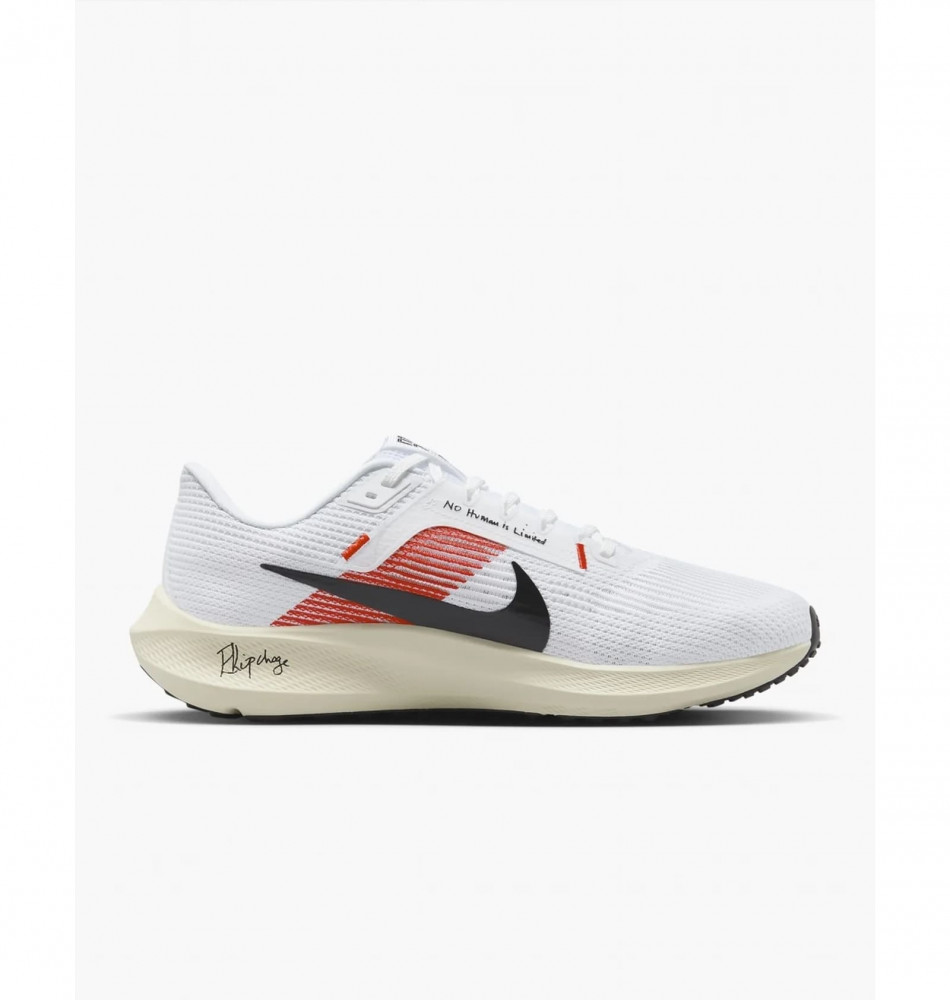 Outlet Кросівки Nike Pegasus 40 EK FJ0686-100