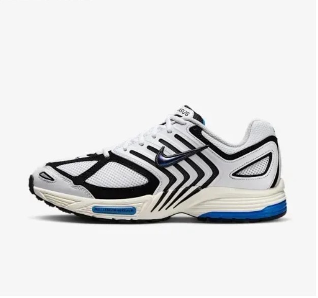 Outlet Чоловічі кросівки Nike Air Pegasus 2005 IB3971-100