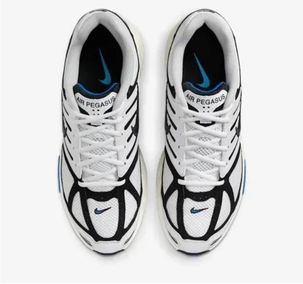 Outlet Мужские кроссовки Nike Air Pegasus 2005 IB3971-100_image_3