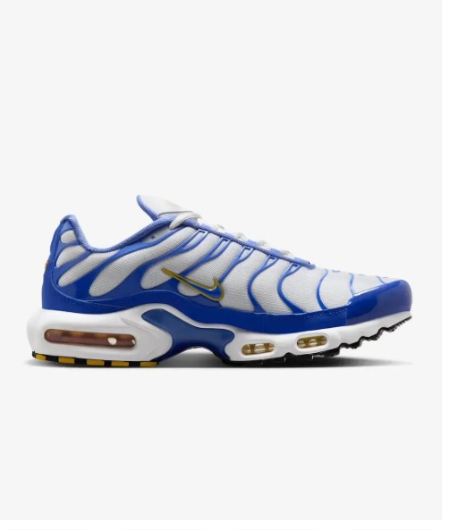 Outlet Кросівки Nike Air Max Plus IF6224-100