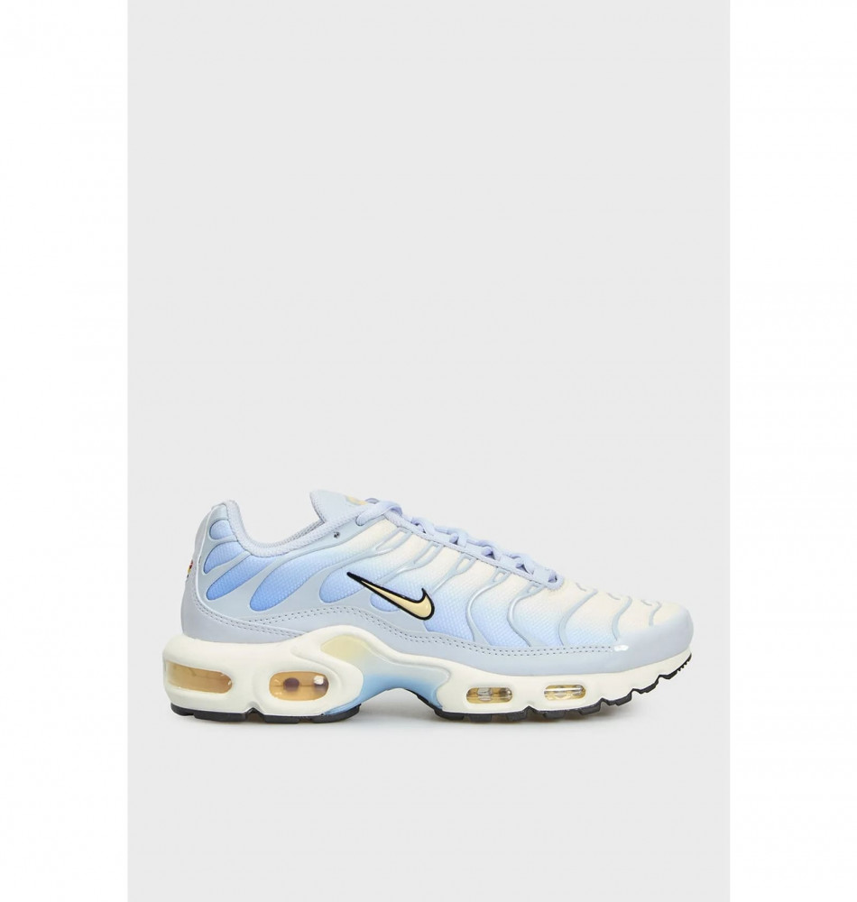Outlet Кросівки жіночі Nike Air Max Plus Multi DZ3670-004