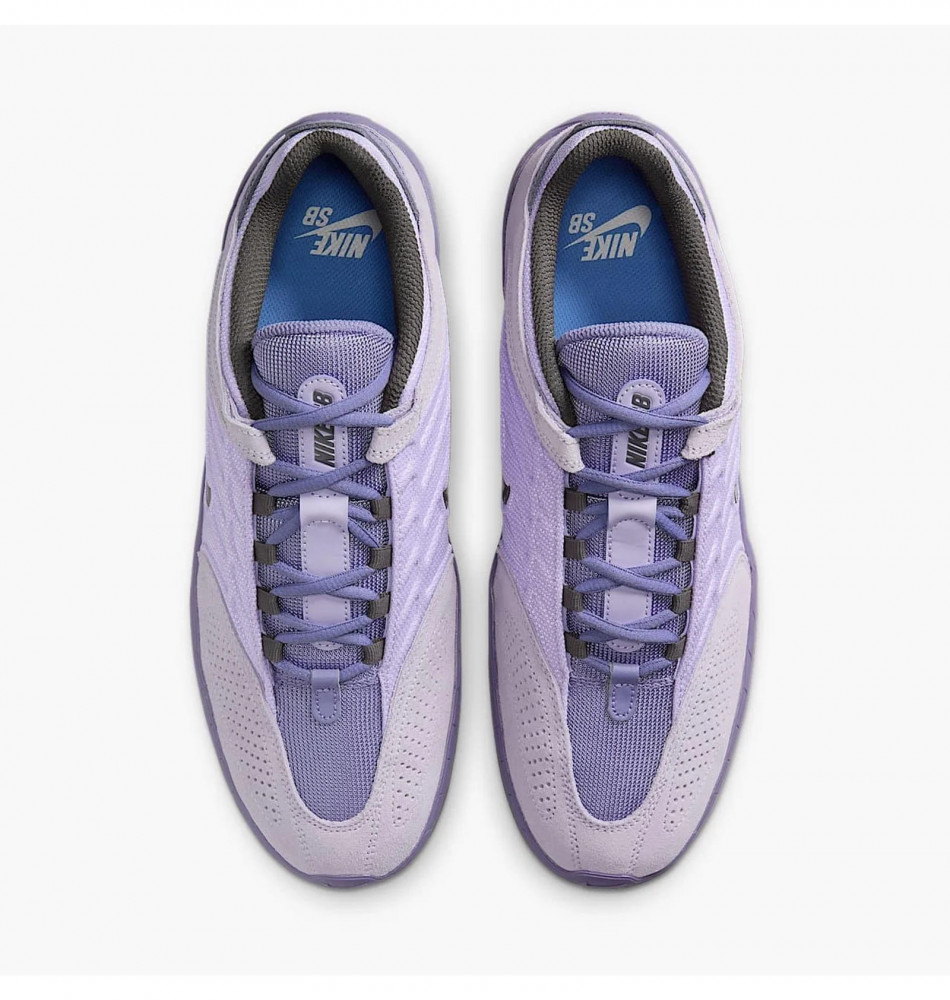 Outlet Кросівки чоловічі Nike Sb Vertebrae FD4691-501_image_6