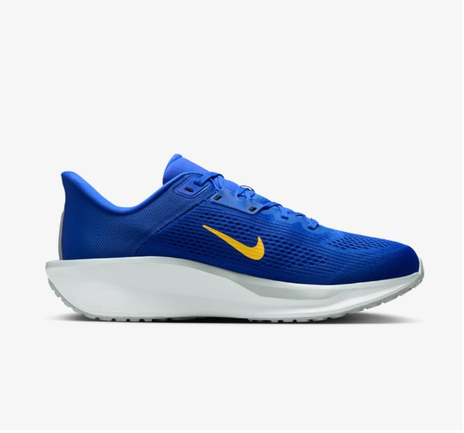 Outlet Чоловічі кросівки Nike Quest 6 FD6033-403