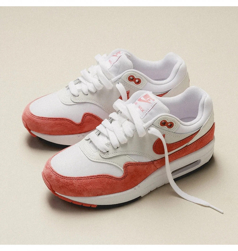 Outlet Кросівки жіночі Nike Air Max 1 87 FZ1468-100_image_5