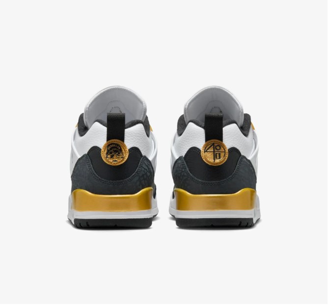 Outlet Чоловічі кросівки Jordan Spizike Low FQ1759-108_image_4