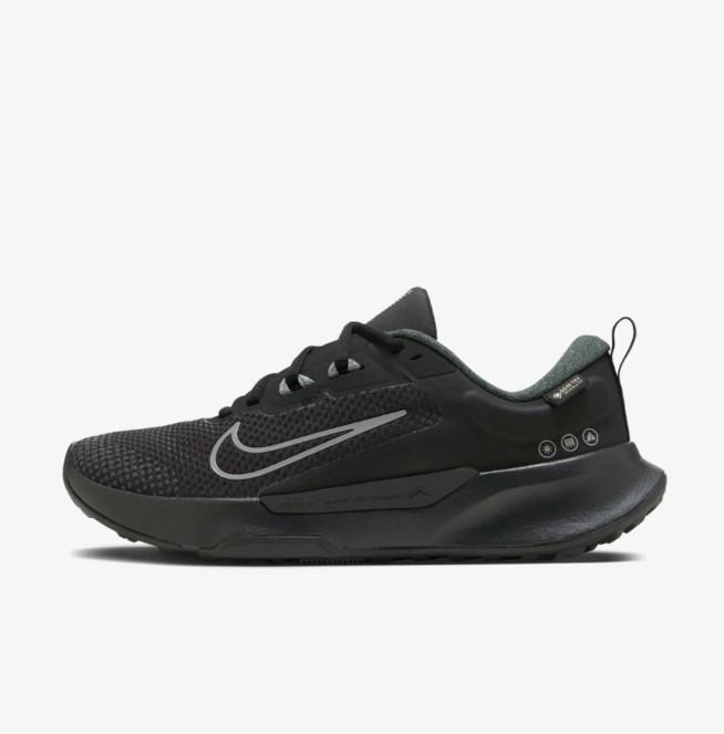 Outlet Жіночі кросівки Nike Wmns Juniper Trail 2 Gtx HM9725-001_image_3
