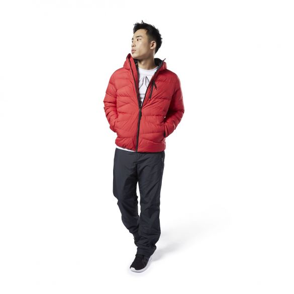 Outlet Чоловік пуховик Reebok Outerwear Synthetic DX2420_image_3