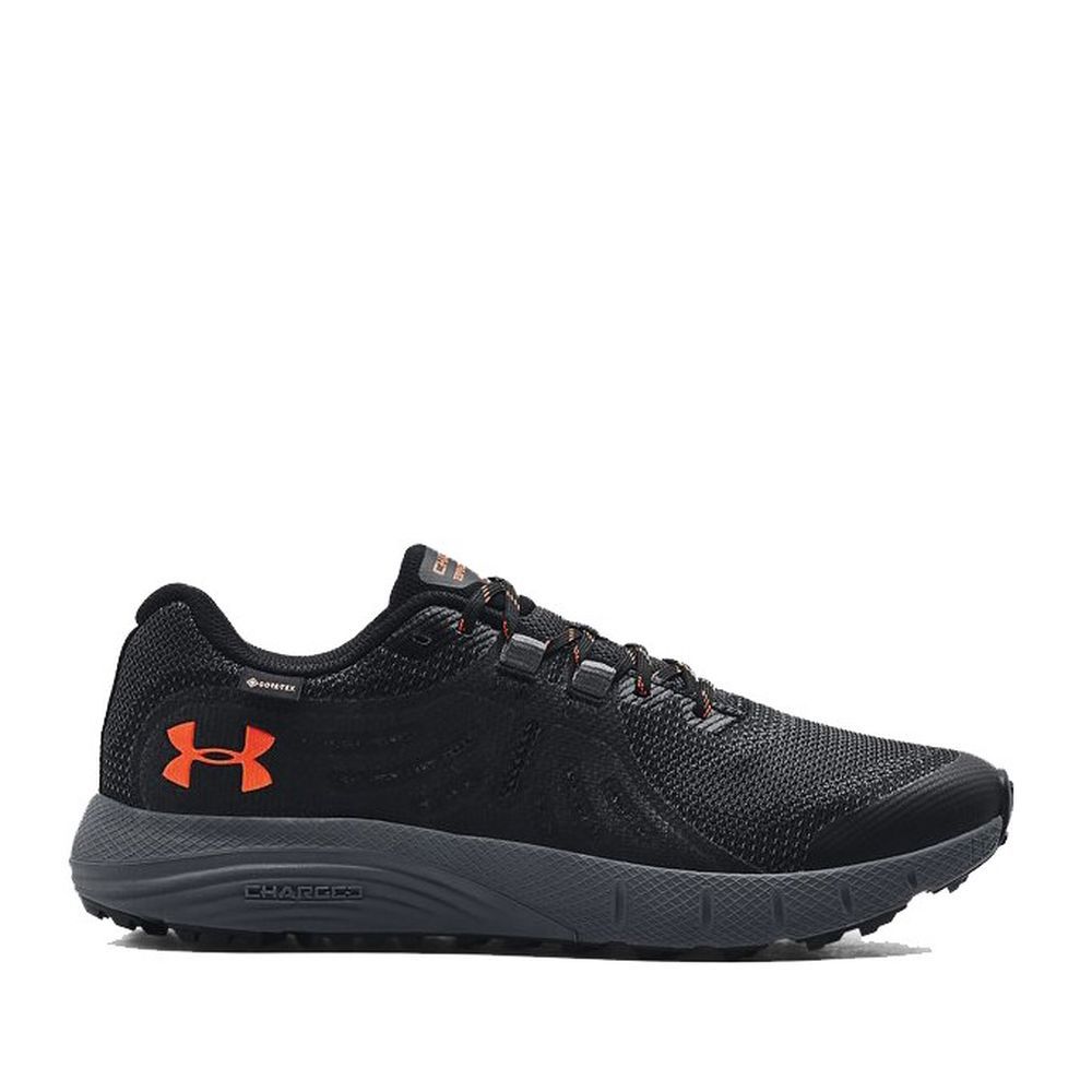 Outlet Чоловічі кросівки Under Armour Charged Bandit Trail GTX 3022784-006