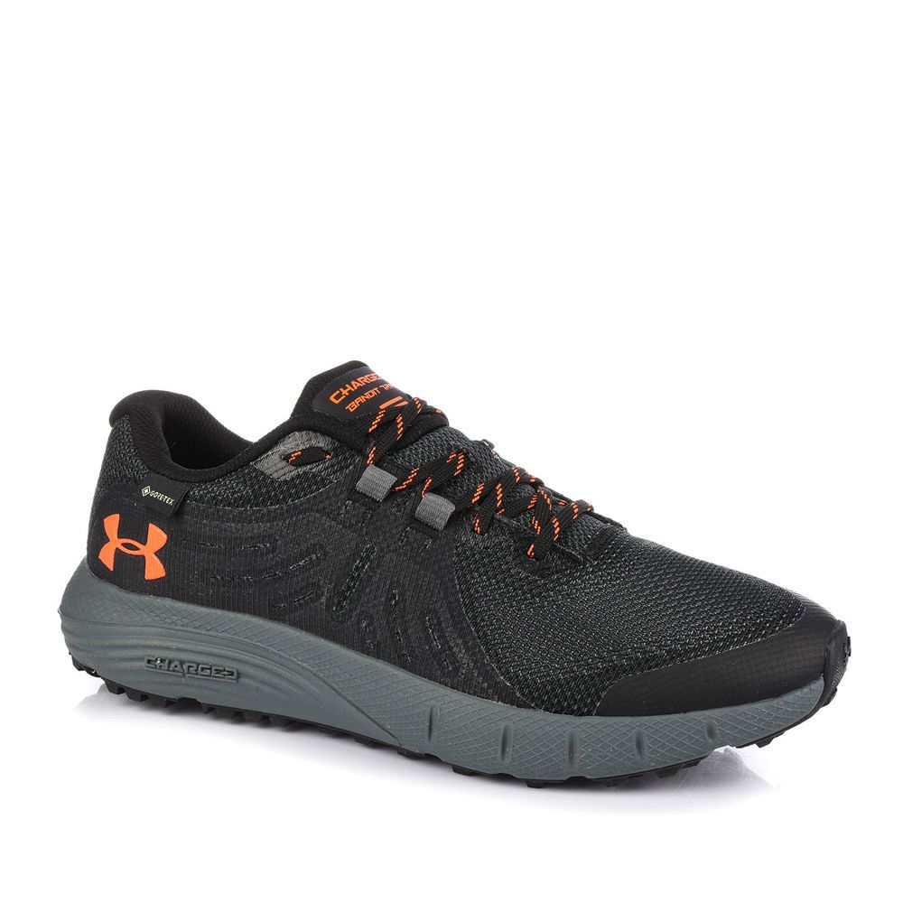 Outlet Чоловічі кросівки Under Armour Charged Bandit Trail GTX 3022784-006_image_3