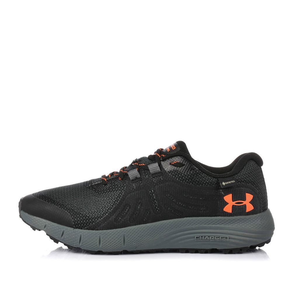 Outlet Чоловічі кросівки Under Armour Charged Bandit Trail GTX 3022784-006