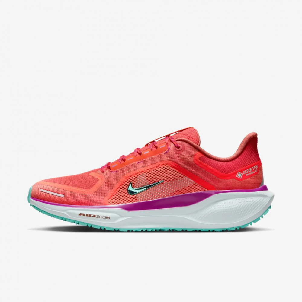 Outlet Чоловічі кросівки Nike Pegasus 41 Gore Tex HM8872-600