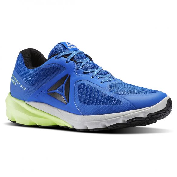 Outlet Чоловічі кросівки Reebok OSR Harmony Road GTX BS8524_image_5