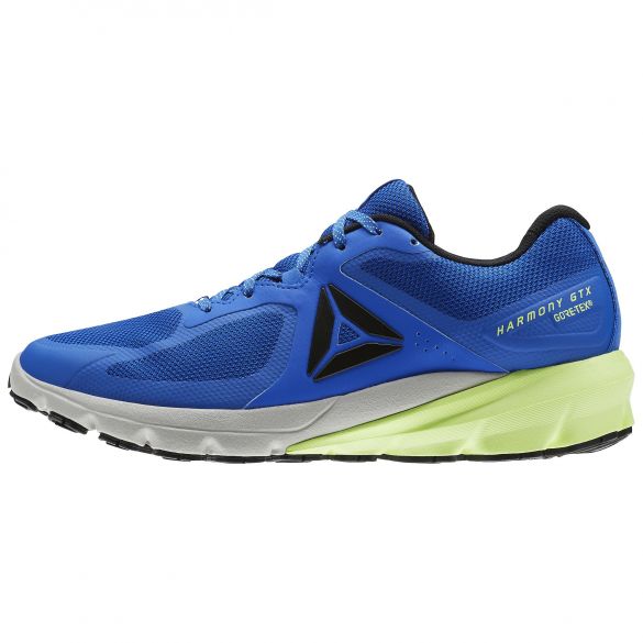Outlet Чоловічі кросівки Reebok OSR Harmony Road GTX BS8524