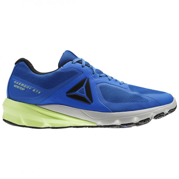 Outlet Чоловічі кросівки Reebok OSR Harmony Road GTX BS8524