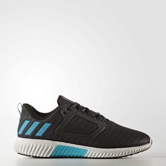 Outlet Жіночі кросівки Adidas Climaheat All Terrain W S81979