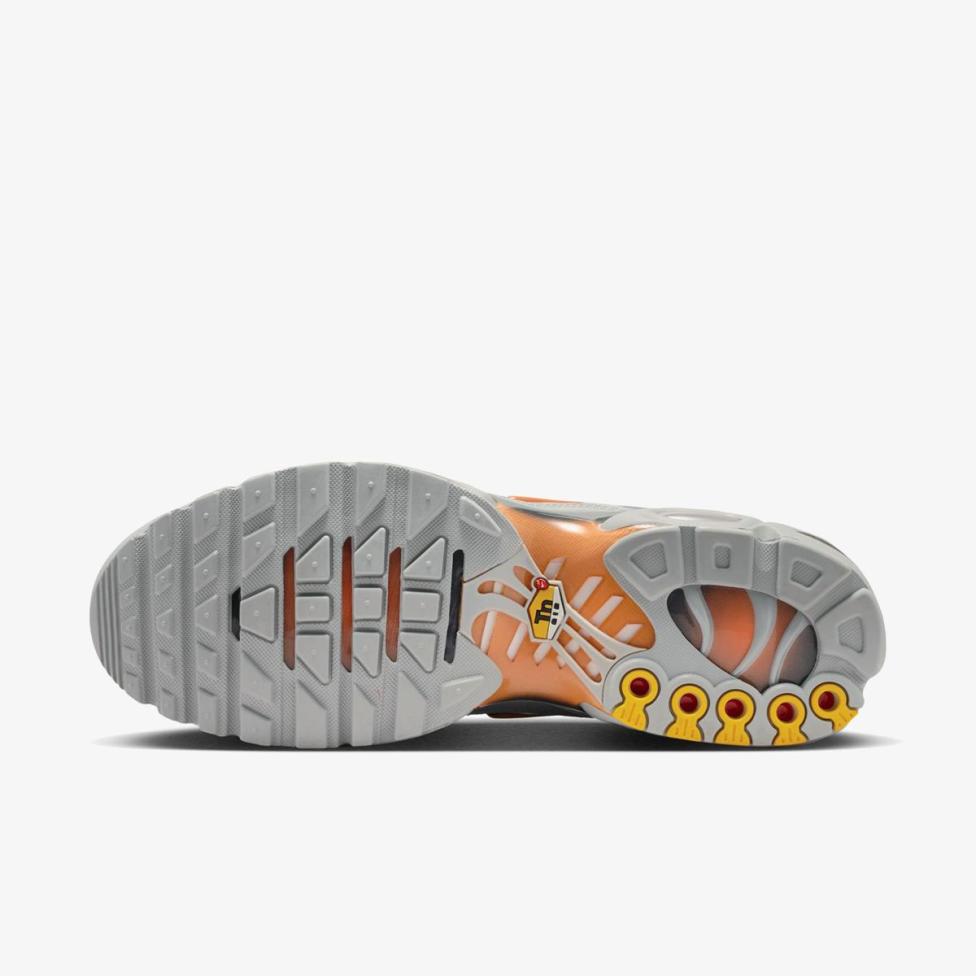 Outlet Чоловічі кросівки NIKE AIR MAX PLUS DM0032-037