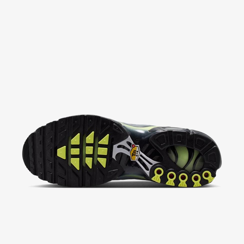 Outlet Чоловічі кросівки NIKE AIR MAX PLUS IR1999-065