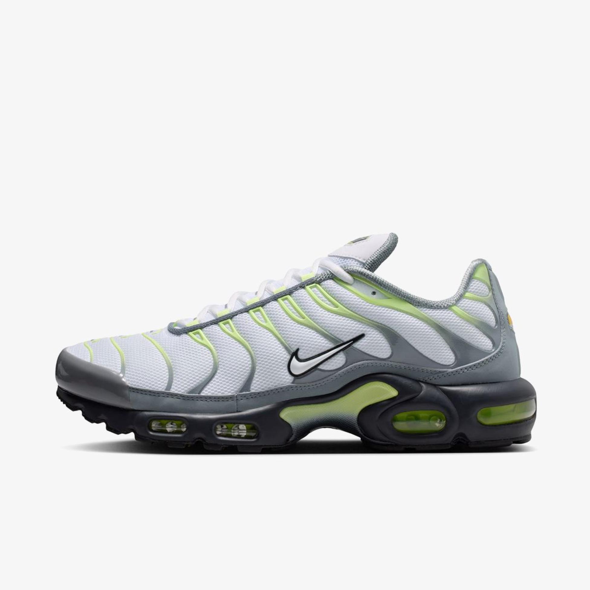 Outlet Чоловічі кросівки NIKE AIR MAX PLUS IR1999-065