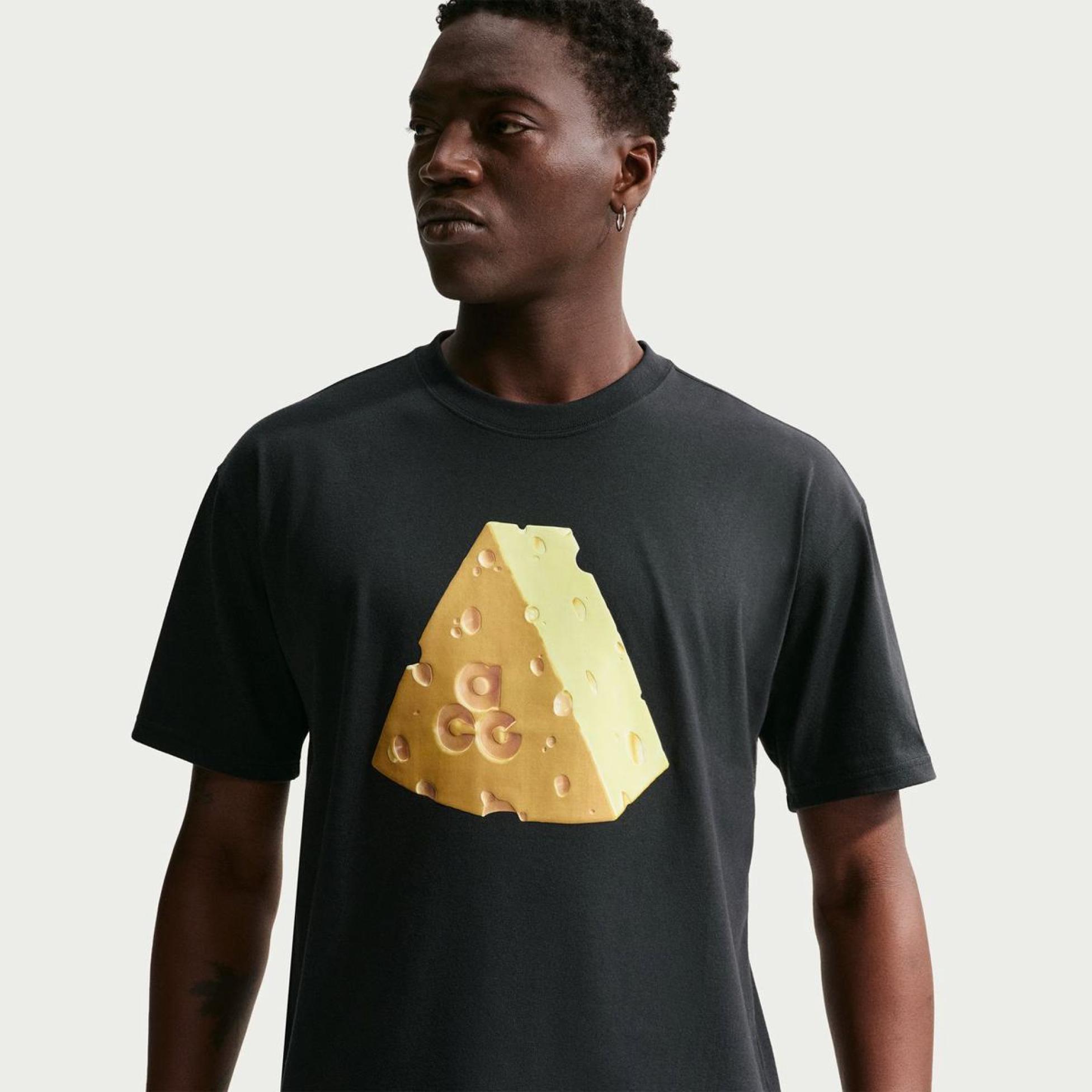 Outlet Чоловіча футболка NIKE M ACG DF TEE LSE CAMP ACHEESEG IH1316-010