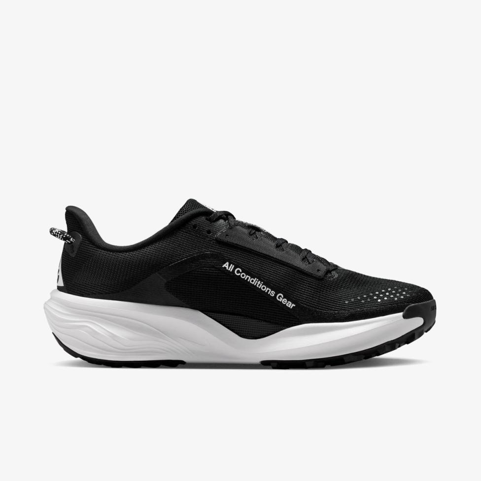 Outlet Мужские кроссовки NIKE ACG PEGASUS TRAIL HV8116-001_image_3