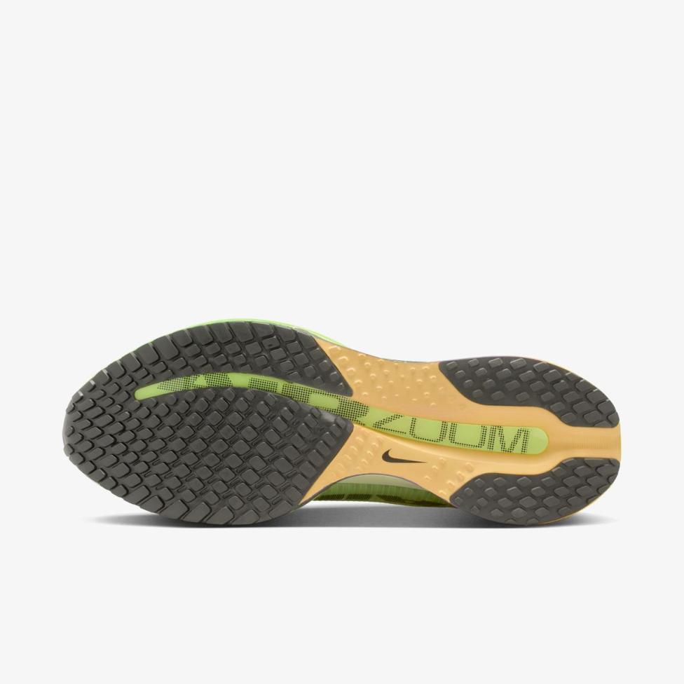 Outlet Чоловічі кросівки NIKE PEGASUS PREMIUM HQ2592-701