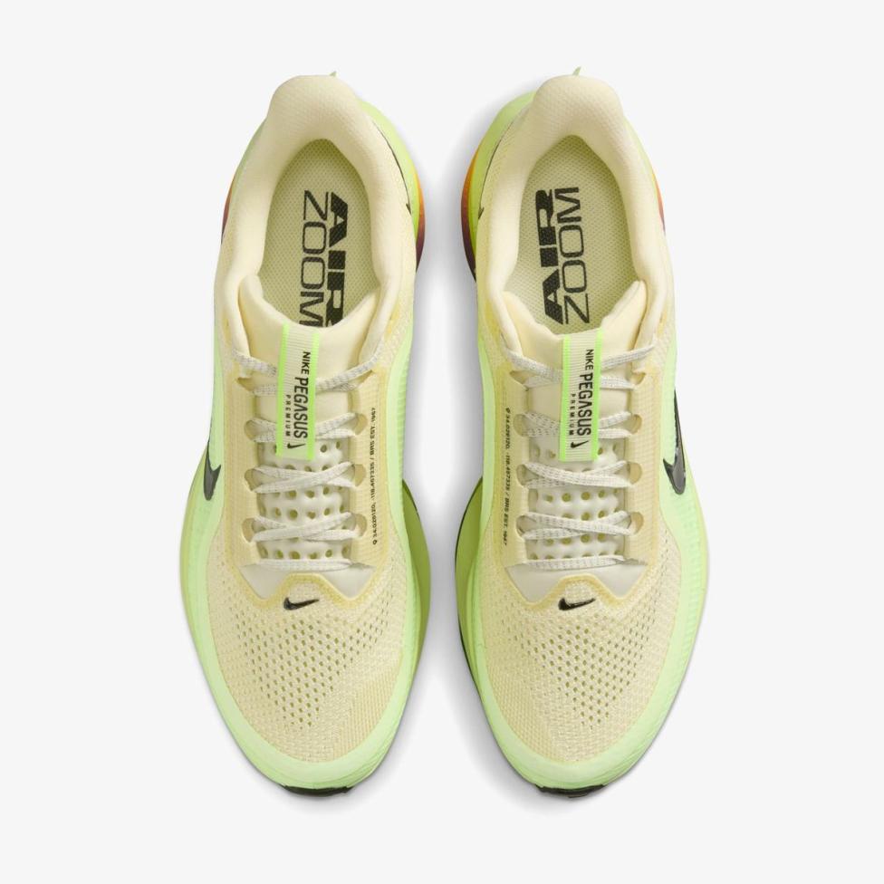 Outlet Чоловічі кросівки NIKE PEGASUS PREMIUM HQ2592-701_image_4
