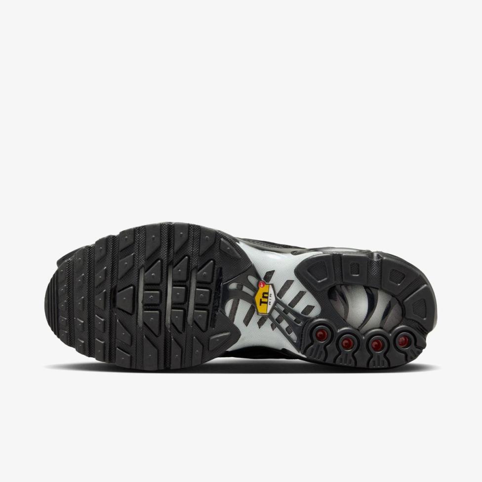 Outlet Жіночі кросівки NIKE AIR MAX PLUS FV1169-001
