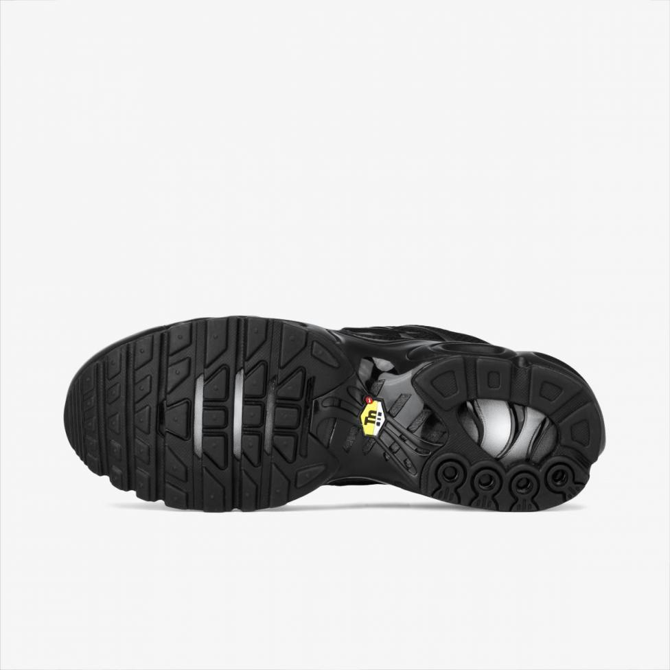 Outlet Чоловічі кросівки Nike AIR MAX PLUS 604133-050