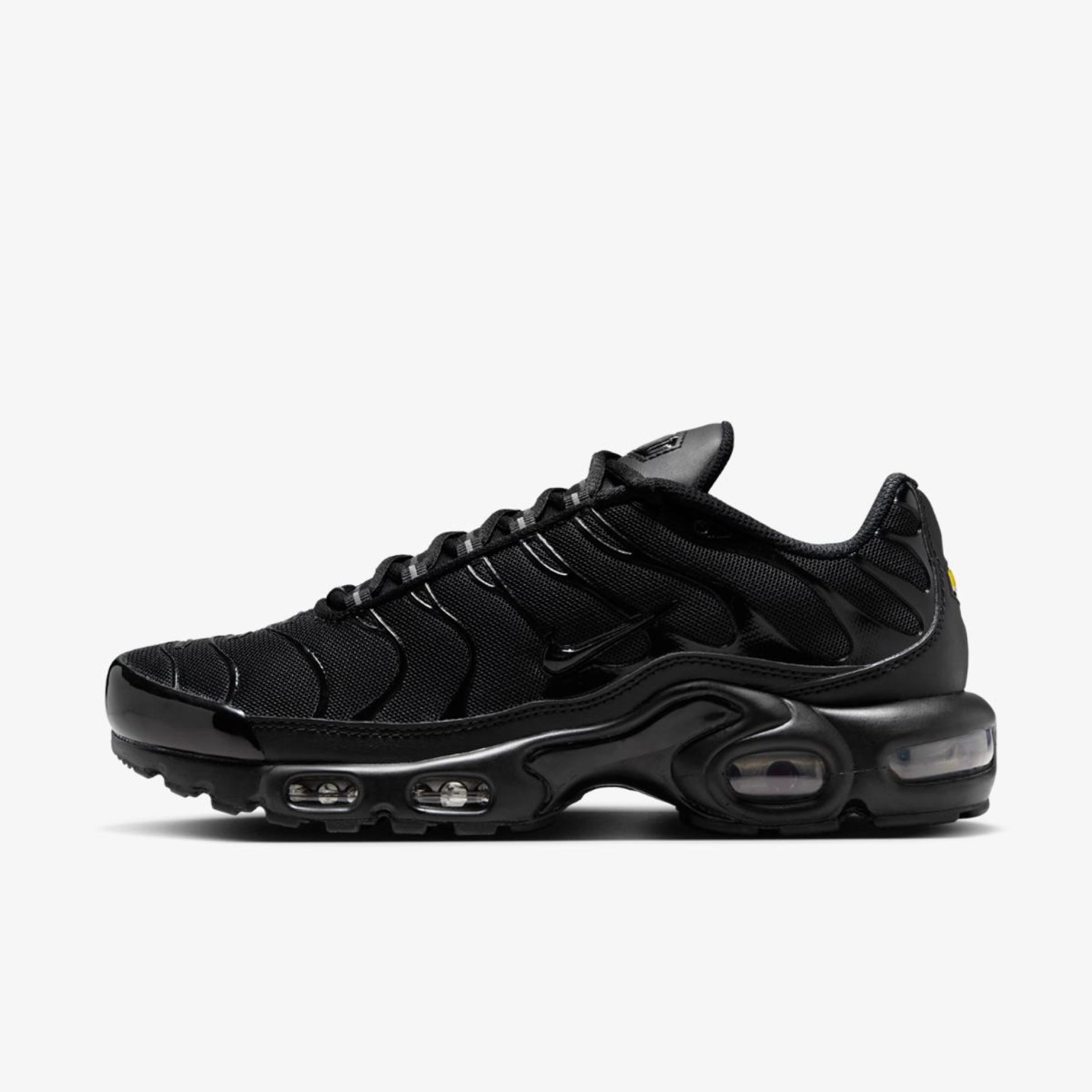 Outlet Жіночі кросівки NIKE WMNS AIR MAX PLUS DM2362-002