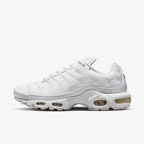 Outlet Чоловічі кросівки Nike Air Max Plus AJ2029-100