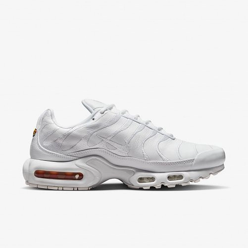 Outlet Чоловічі кросівки Nike Air Max Plus AJ2029-100