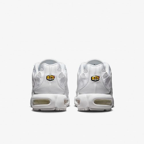 Outlet Чоловічі кросівки Nike Air Max Plus AJ2029-100_image_8
