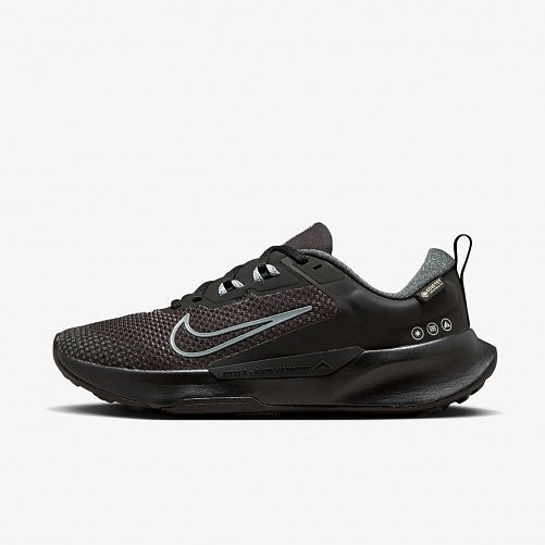 Outlet Кросівки Nike Wmns Juniper Trail 2 Gtx FB2065-001