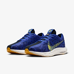 Outlet Мужские кроссовки Nike Pegasus Turbo Next Nature DM3413-401_image_6