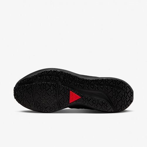 Outlet Кросівки Nike Air Zoom Pegasus 39 Shield Do7626-001_image_5