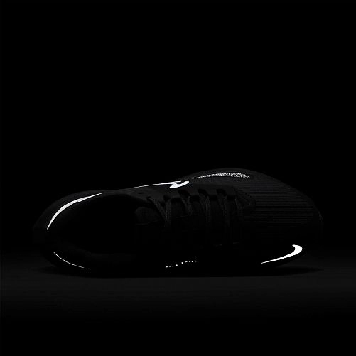 Outlet Кросівки Nike Air Zoom Pegasus 39 Shield Do7626-001_image_6