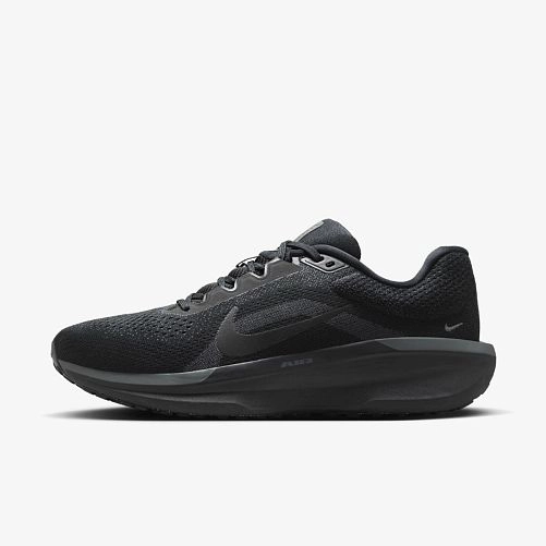 Outlet Кросівки Nike Air Winflo 11 FJ9509-002
