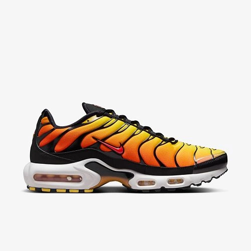 Outlet Кросівки чоловічі Nike Air Max Plus 2024 HF0552-001
